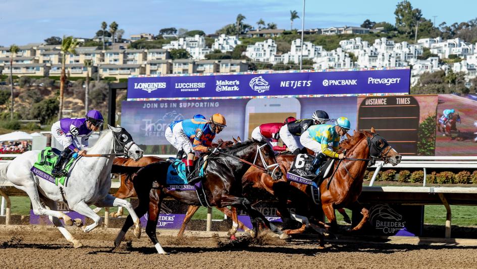 Breeders’ Cup Classic, Del Mar, Sovereignty, Fierceness, Sierra Leone, Journalism, Baeza, Mindframe, Forever Young, America's Best Racing, horse racing, ABR